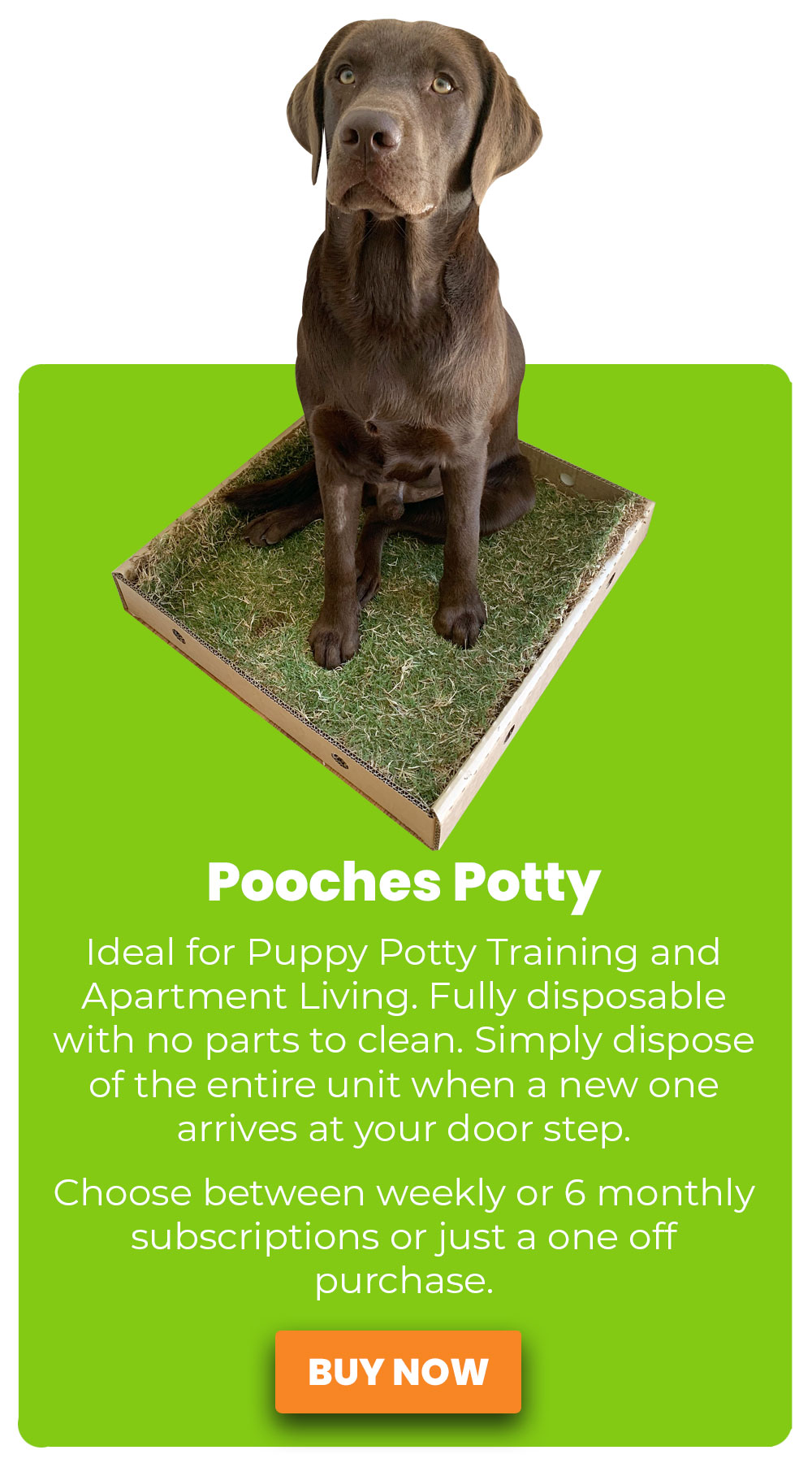 buy pooches potty now online