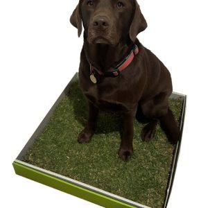 Pooches Potty weekly subscription