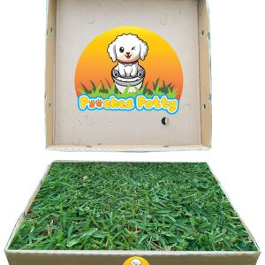 Pooches potty purchase now