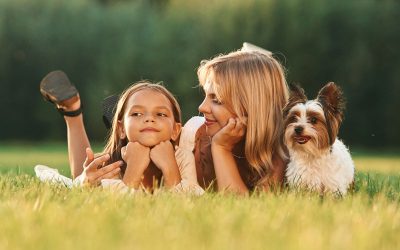 How to Stop Your Lawn Dying from Dog Urine