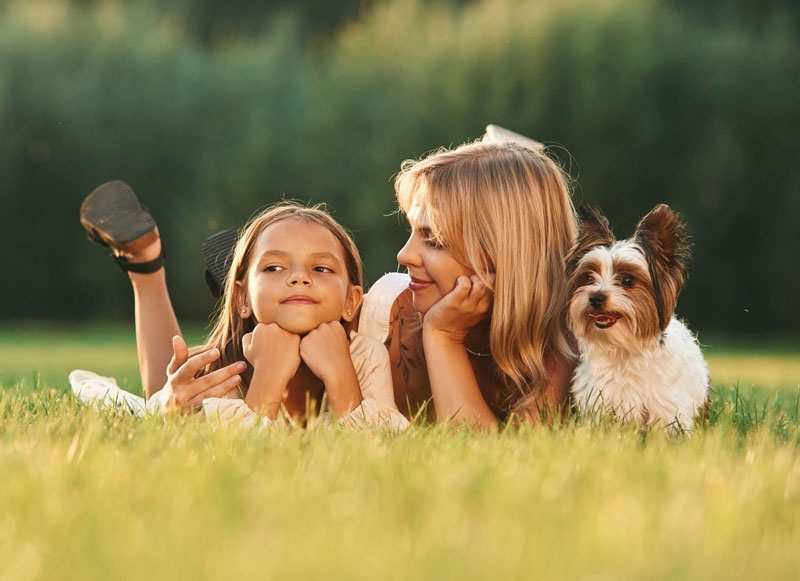 real grass toilets frequently asked questions