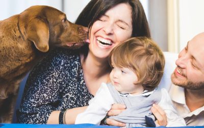 7 Signs Your Dog Needs an Indoor Toilet Solution