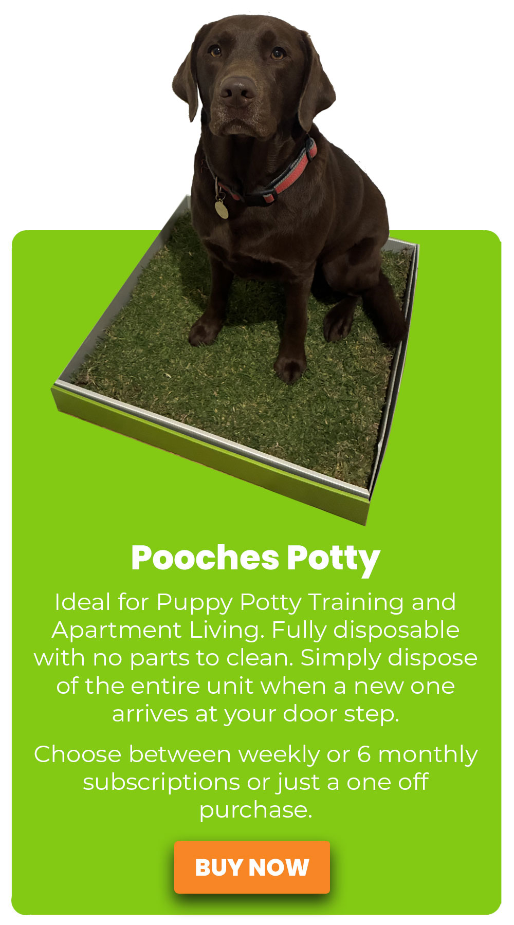 Pooches-potty-mobile-buy-now-3-new buy pooches potty now online